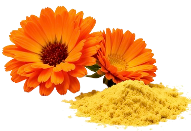 Lutein
