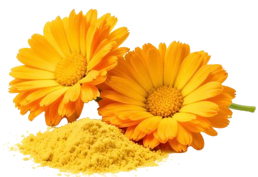 Zeaxanthin